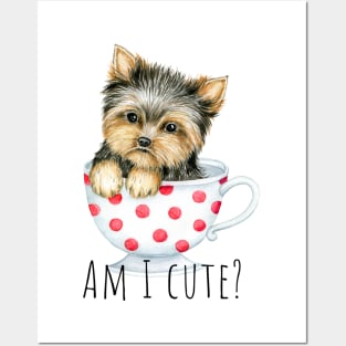 Cute Yorkshire terrier, cute puppy, puppy in a cup Posters and Art